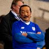 Three parties interested in Cardiff City takeover as 'South African-led consortium' emerges
